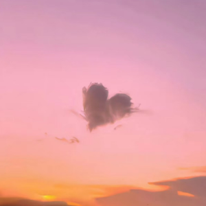 深圳妈妈15-20章读书笔记
